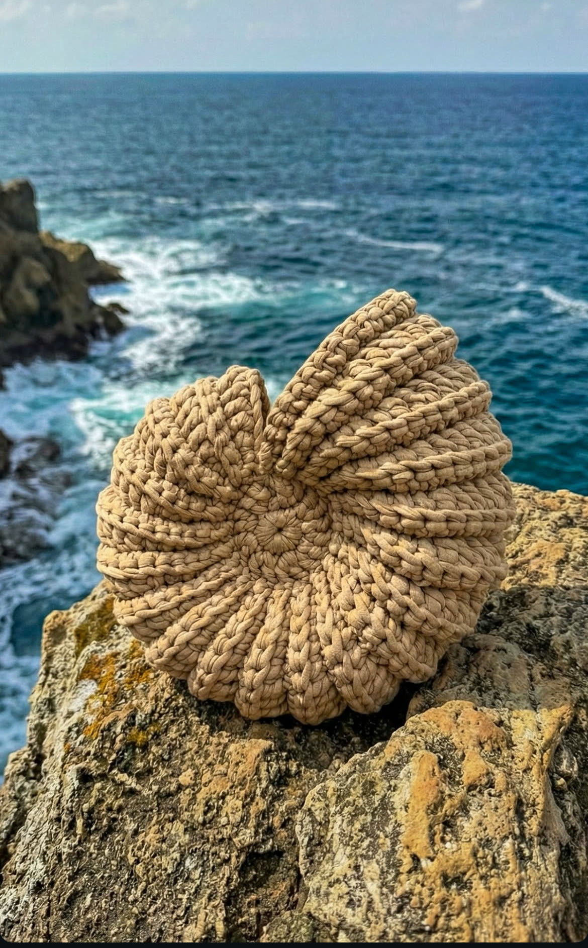 Coquillage rond, coloris sable, sur les rochers
